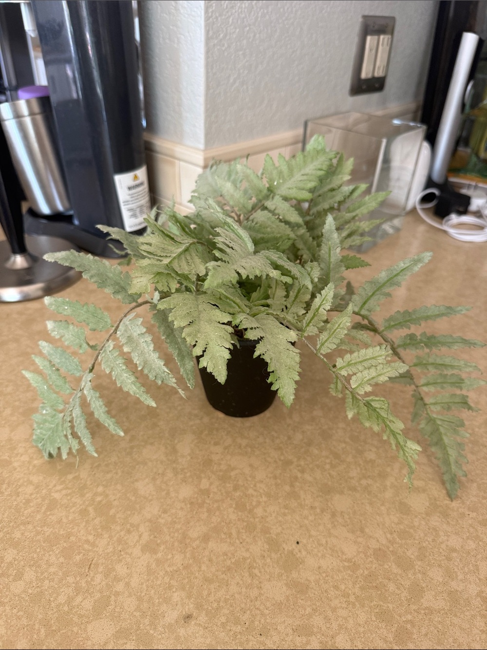 Pottery Barn Pale Green Faux Fern Accent Plant